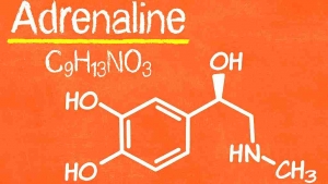 Testing Epinephrine for Out-of-Hospital Cardiac Arrest