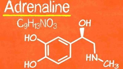 Testing Epinephrine for Out-of-Hospital Cardiac Arrest