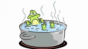 The &quot;frog in boiling water&quot; or the Dunning-Kruger effect?